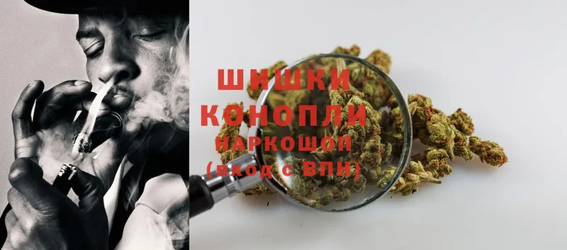 гидра онион  купить закладку  Олонец  Бошки Шишки SATIVA & INDICA 